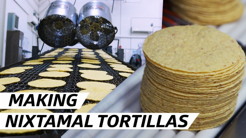 image 0 How One Of New York's Favorite Taco Spots Built Its Own Tortilla Factory — Vendors