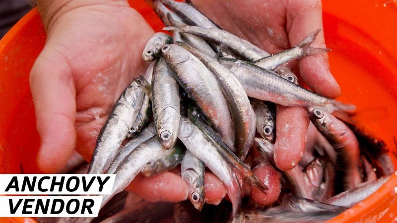 image 0 How The Best Anchovies Make It To San Francisco Restaurants — Vendors