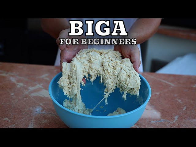 image 0 How To Make Biga For Beginners Easy And Fast At Home