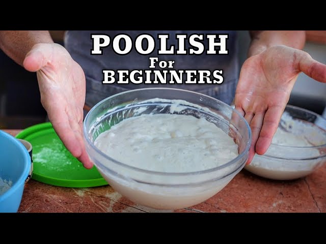 image 0 How To Make Poolish For Beginners - Easy & Fast