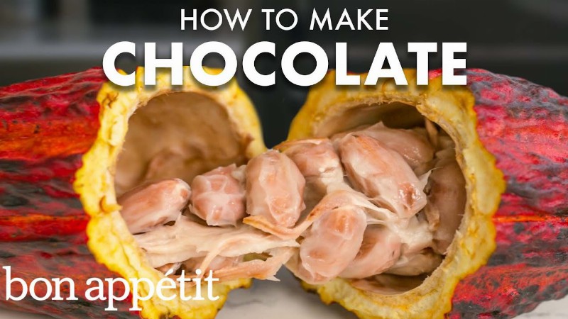 image 0 How To Make Your Own Chocolate : Bon Appétit