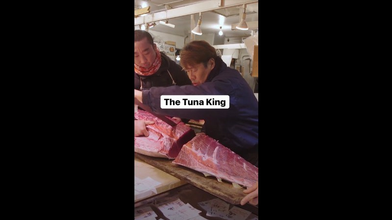 How Tokyo’s “tuna King” Reigns At The Tsukiji Fish Market #shorts #tuna #sushi #bluefintuna #tokyo