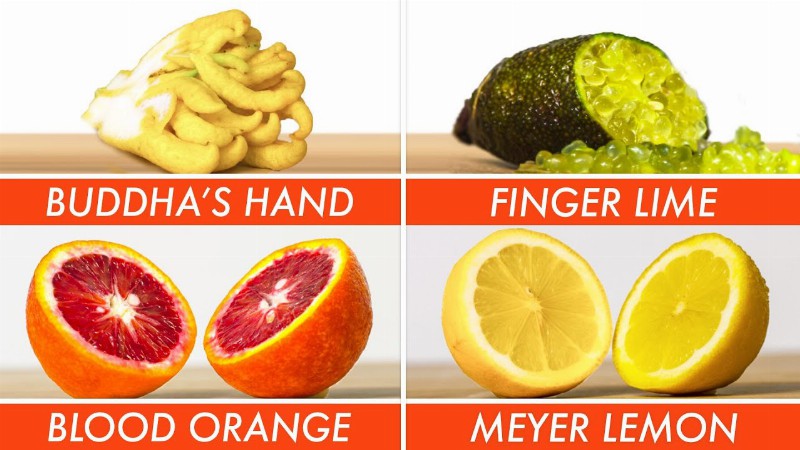 image 0 Picking The Right Citrus For Every Recipe - The Big Guide : Epicurious
