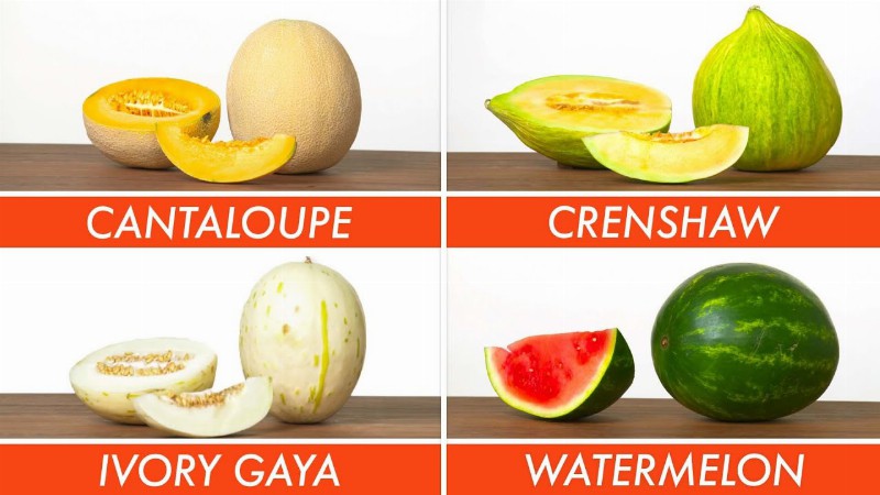 image 0 The Big Guide To Melons - When They're Ripe & How To Use Them : Epicurious
